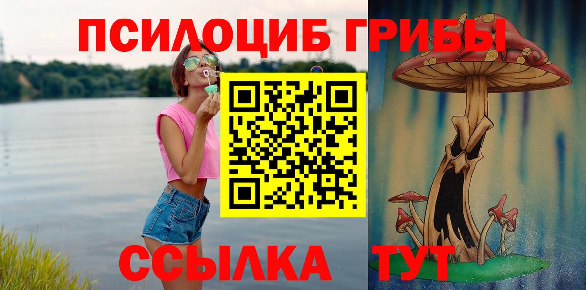 Галлюциногенные грибы Psilocybe Ростов Великий