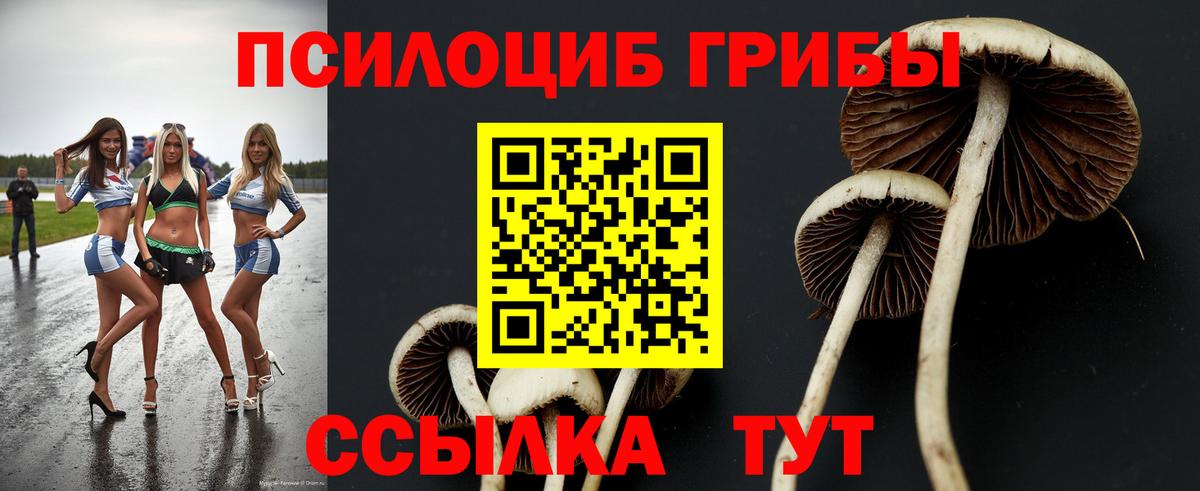 Галлюциногенные грибы ЛСД  Псилоцибиновые грибы мицелий  Ростов Великий  Вход с VPN 